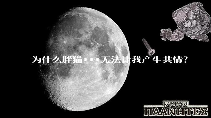 为什么胖猫***无法让我产生共情？