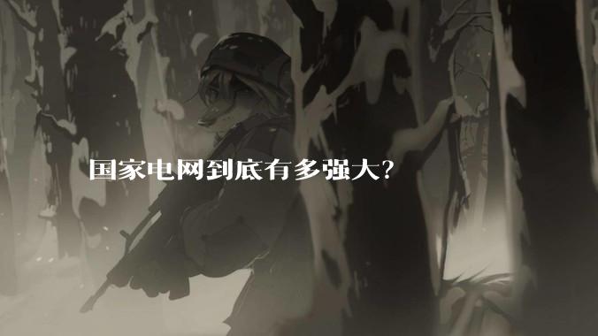 国家电网到底有多强大？