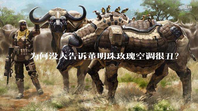 为何没人告诉董明珠玫瑰空调很丑？